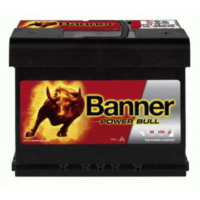 Автомобільний акумулятор Banner 62Ah 550A Power Bull P6219
